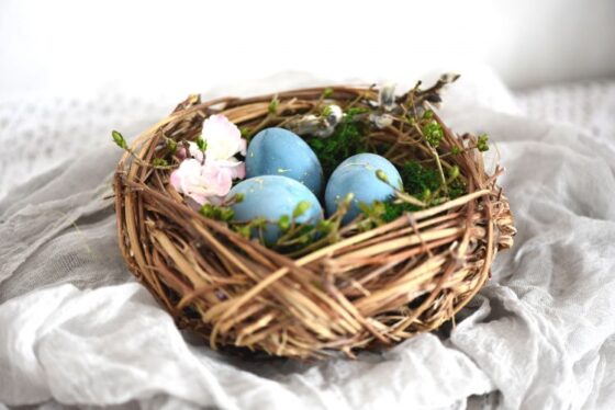 PODJELA USKRSNIH PAKETA UMIROVLJENICIMA SVETOG PETRA U ŠUMI POVODOM USKRŠNJIH BLAGDANA